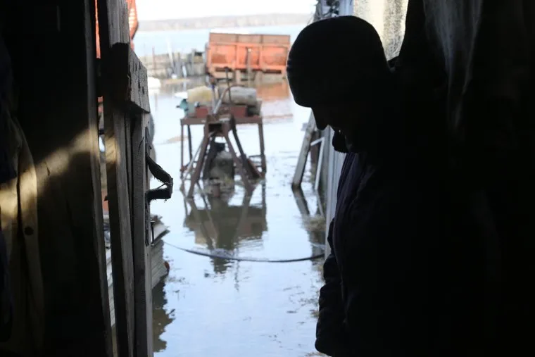 Деревня Репьева. Ишимский район