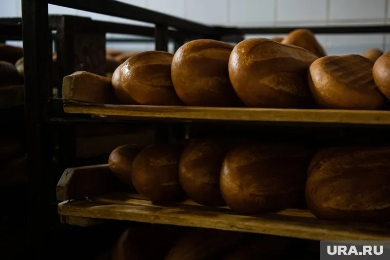 Гострудинспекция завершила проверку на хлебозаводе