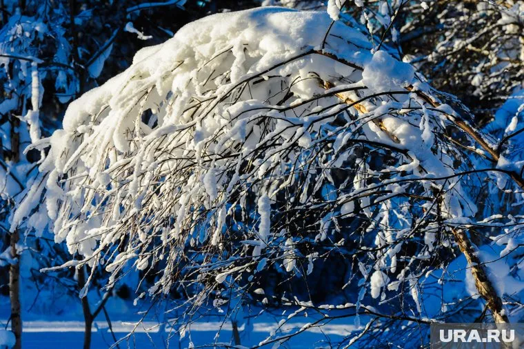 В Челябинской области прогнозируют снегопады