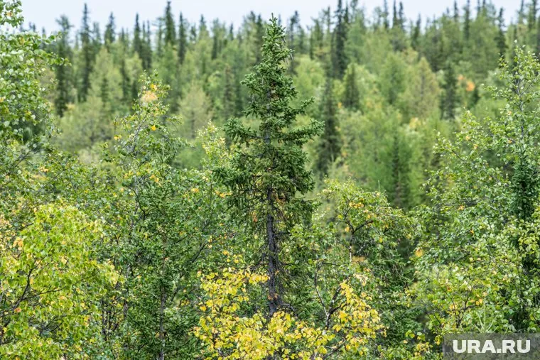 На Ямале подвели итоги экологических экспедиций
