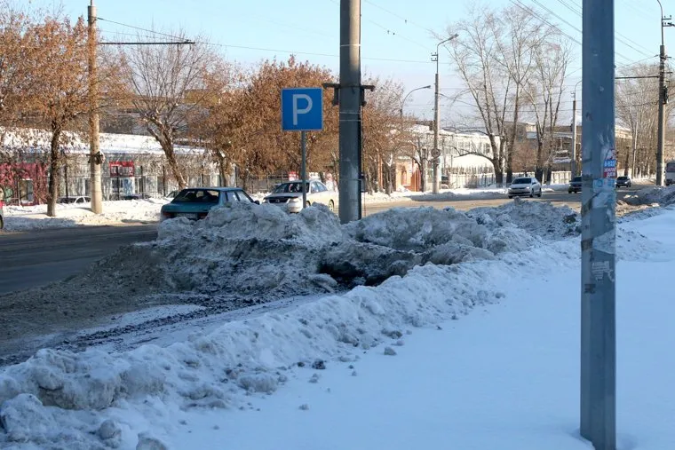 Зоопарк  верблюдКурган