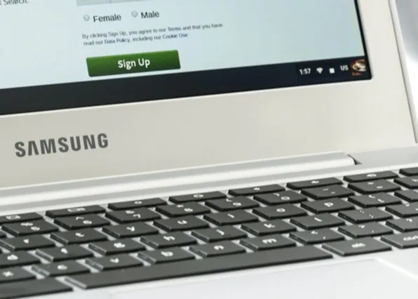 Фотография из галереи