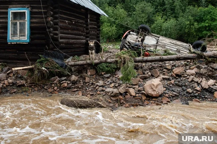 Владимир Сальдо рассказал, сколько человек находится в зоне бедствия