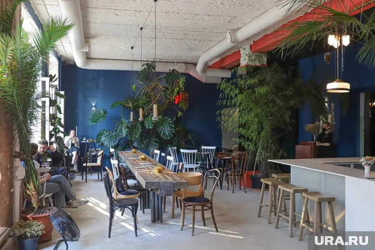 Gege работал с 2021 года