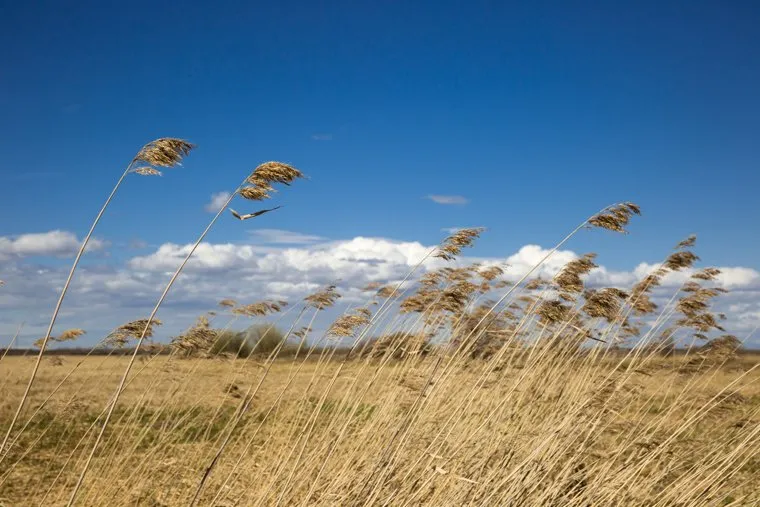 Природа ХМАО. Сургут