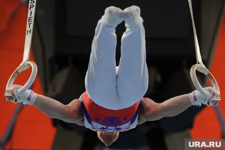 Федерация гимнастики России поддержала позицию спортсменов