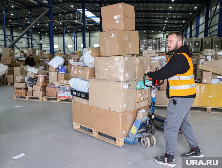 Путин открыл россиянам новые площадки для заработка