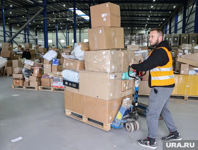 Президент России Владимир Путин провел встречу с руководителем Федеральной налоговой службы Даниилом Егоровым