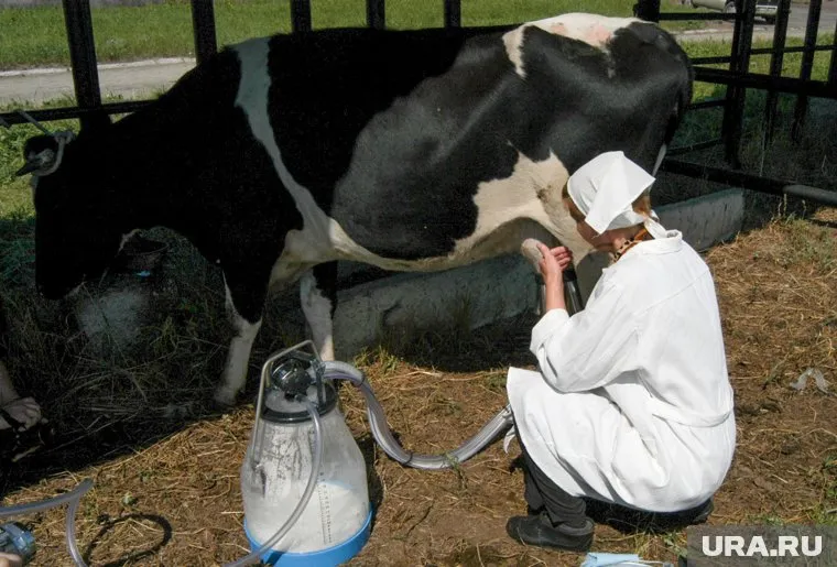 В Минтруда сокращенную рабочую неделю в деревнях считают «устаревшей нормой»