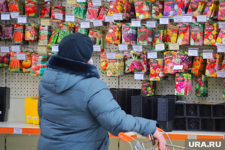 В одном из магазинов Челябинска обнаружили небезопасные для здоровья семена