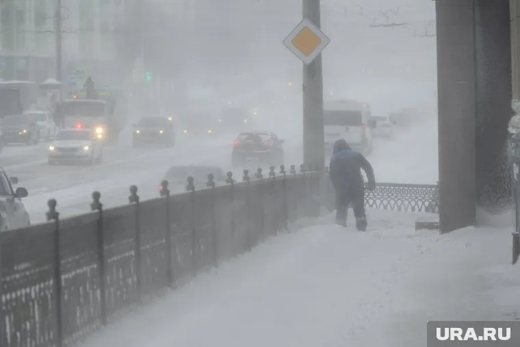 Несколько районов ЯНАО накроет метель