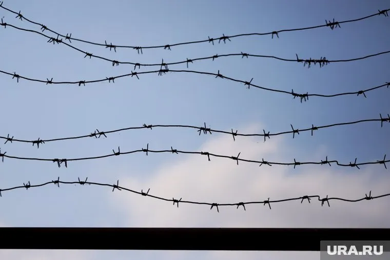 При этом остальных фигурантов дела отпустили под домашний арест