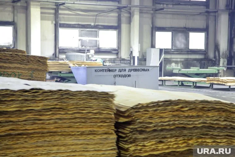 "Свеза" не рассматривает приобретение краснокамского бумкомбината "Кама"