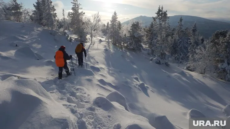 Начало поисковой операции