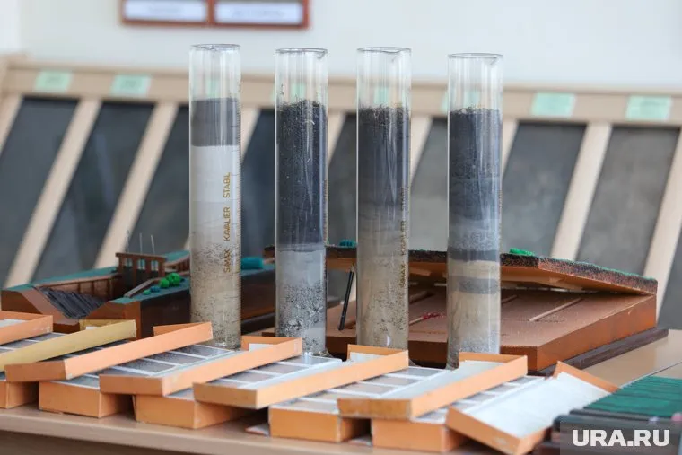 КГУ сохранил направления подготовки бывшей КГСХА 