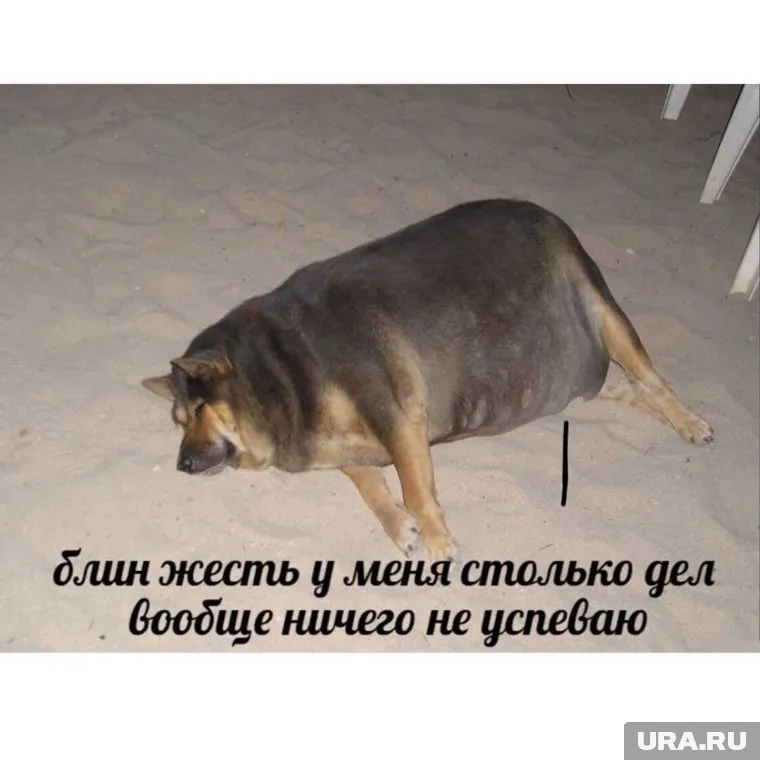 А что еще вы планируете этим летом?