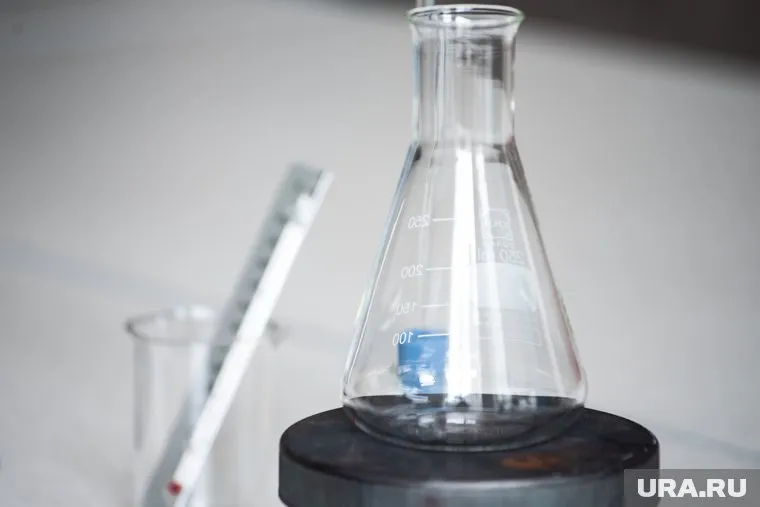 Курганским школьникам нужны деньги на поездку в Москву на турнир по химии