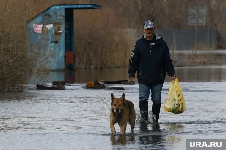 В Кургане рост уровня воды остановился
