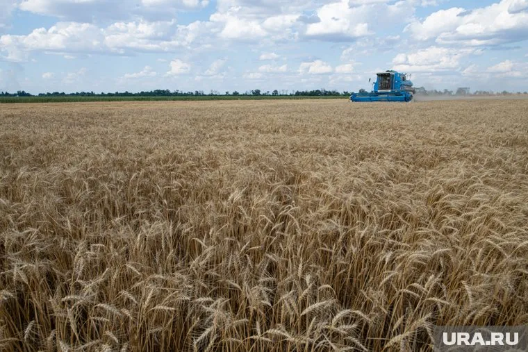 РФ выходит из зерновой сделки, уточнил Дмитрий Песков