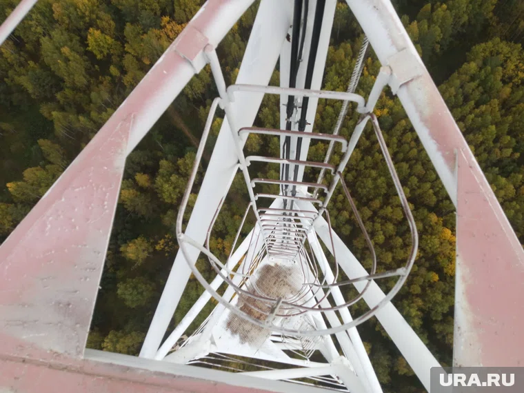 Юный экстремал в очередной раз не использовал страховку