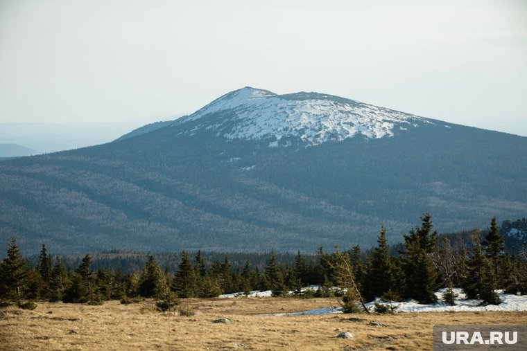 «Надели наручники»: свердловчанин обвинил сотрудников парка «Таганай» в нападении. Фото
