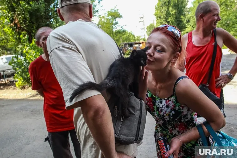 Жители Рубежного выхаживают брошенных кошек, собак, попугаев и морских свинок