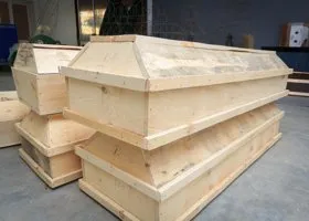 Фотография из галереи