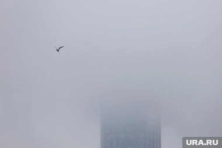 Паромы остановили из-за тумана