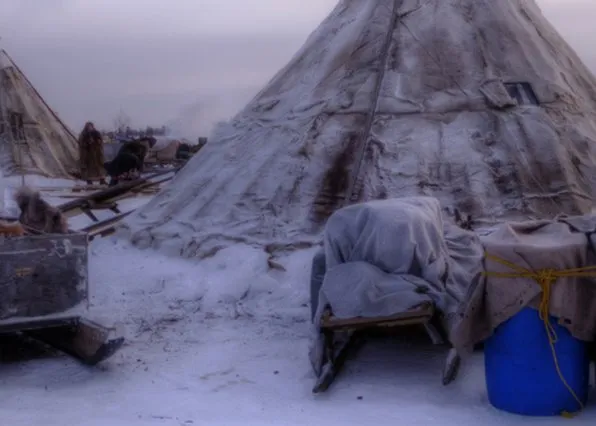 Фотография из галереи