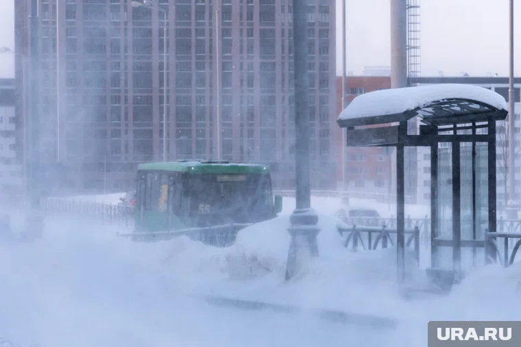 Гидрометцентр предупредил об опасной погоде в Московской области (архивные кадры)