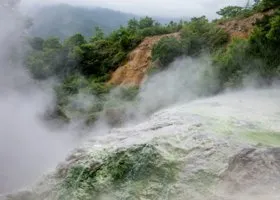 Фотография из галереи