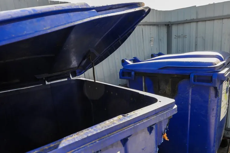 Мусорные кучи. Челябинск