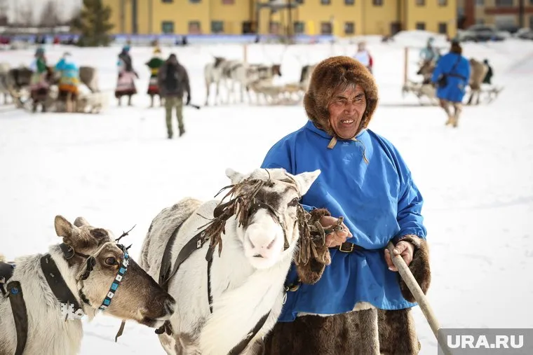 Сообщество появилось всего несколько месяцев назад, когда власти Ямала объявили о планах сокращения поголовья оленей