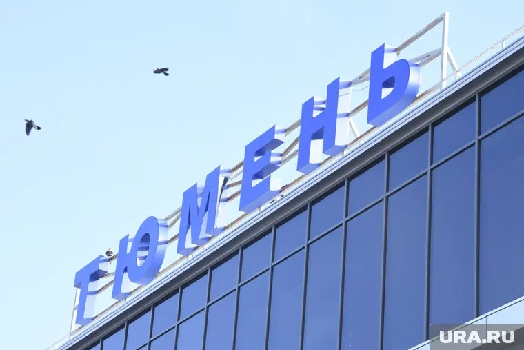 Мужчина распивал спиртные напитки, находясь на борту рейса «Тюмень-Москва»