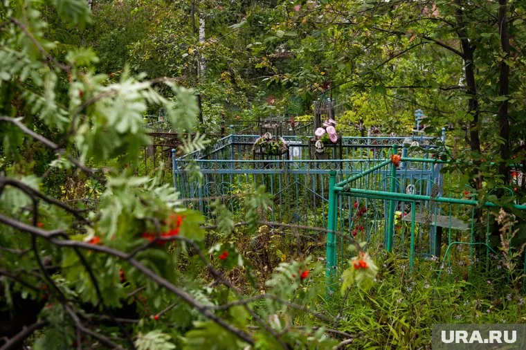 Появилась новая версия убийства 200 детей в Ейске в годы Великой Отечественной войны