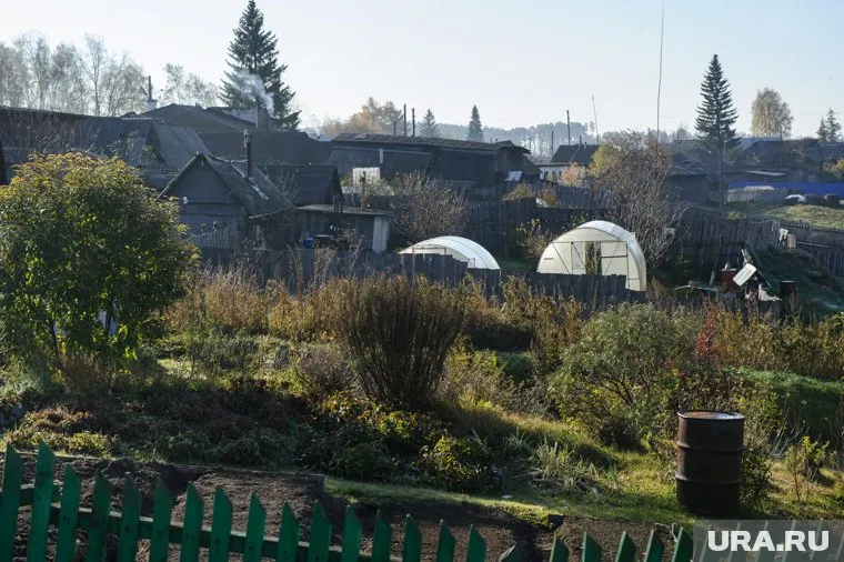Тишина и покой дачникам из "Светлого", большинство которых - ветераны УВД, теперь только снятся