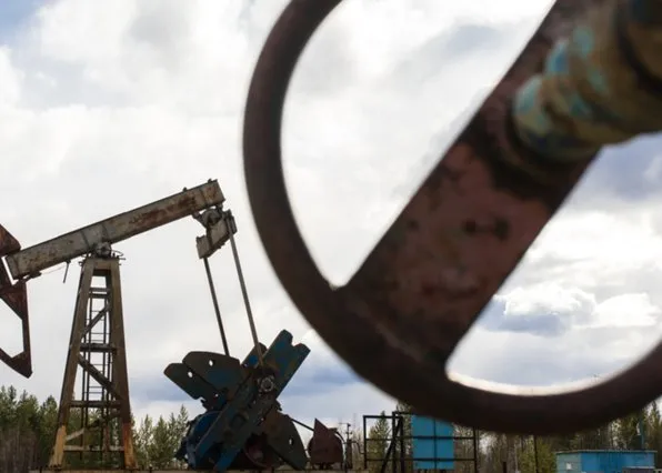 Фотография из галереи