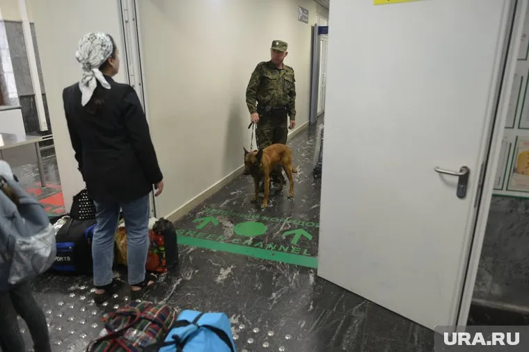 Гражданка уверяла таможенников, что привезла товары в качестве подарков для друзей