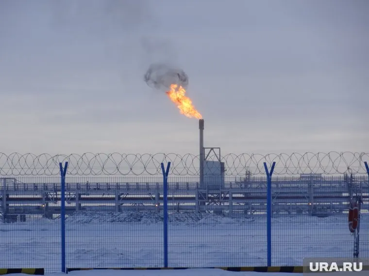 Информацию о прекращении прокачки газа по трубопроводу «Ямал — Европа» назвали фейком