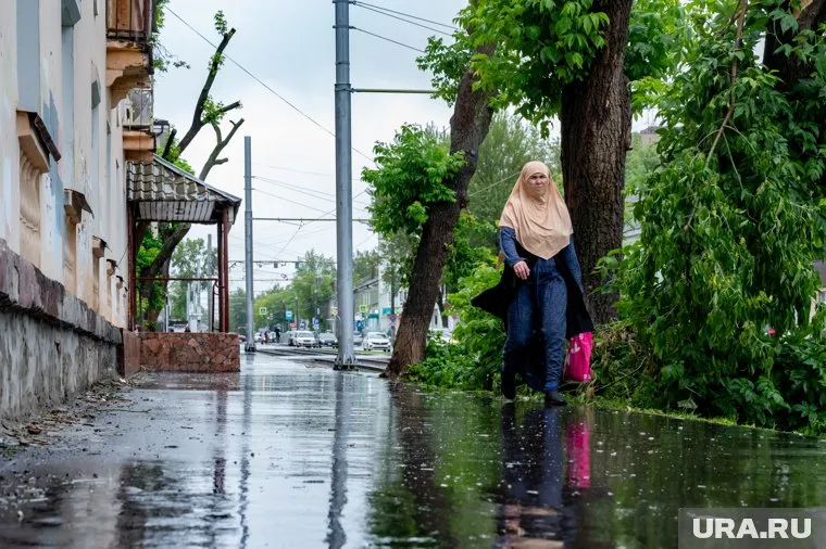 Нелегальным мигрантам в России запретят жениться и пользоваться порталом госуслуг