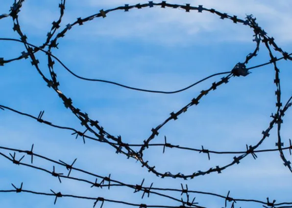 Фотография из галереи