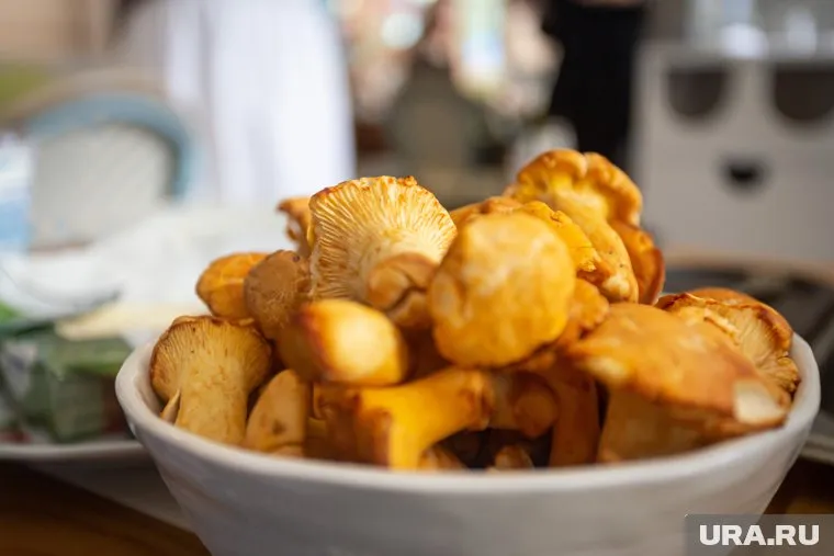 Лисичек в этом году много, поэтому фестиваль стартовал раньше обычного