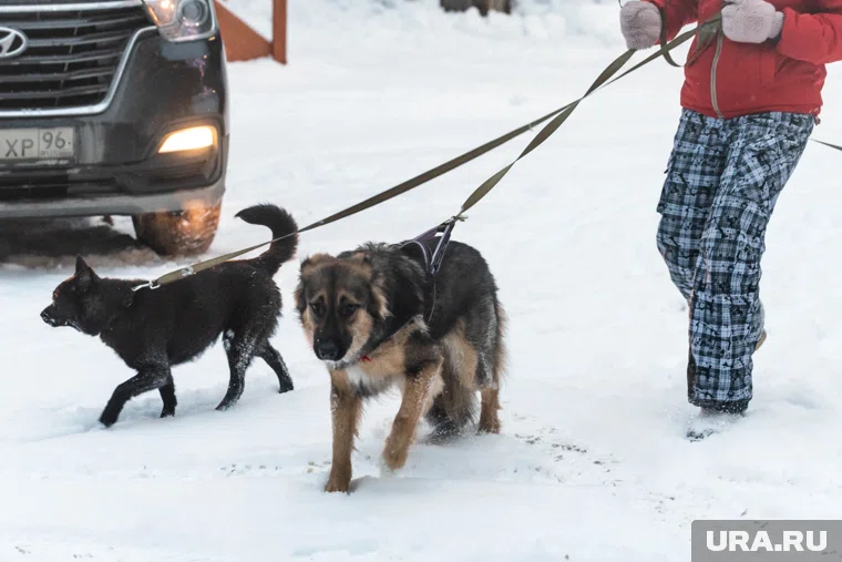 Штраф может быть заменен на предупреждение