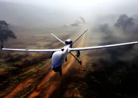 Фотография из галереи