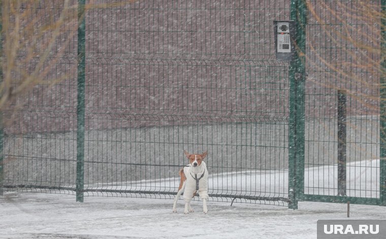 Курганскую область накроют снегопады и 31-градусные морозы