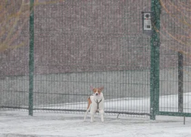 Курганскую область накроют снегопады и 31-градусные морозы