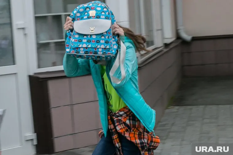 Оружие находилось в тубусе для бумаг