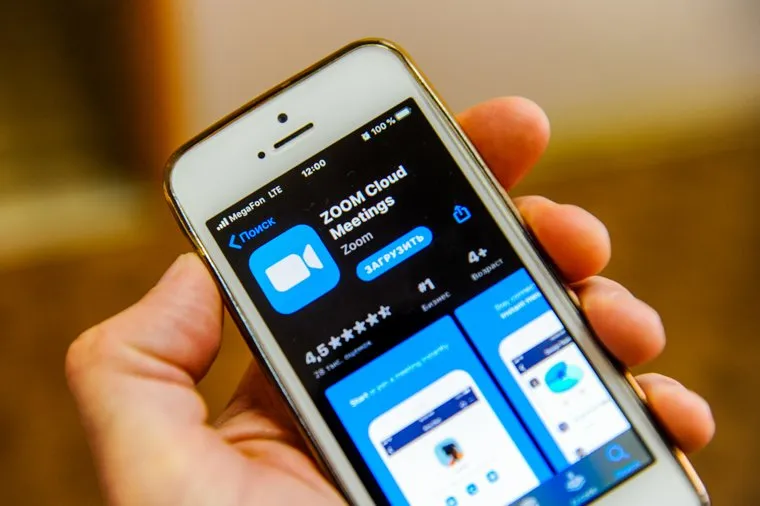 Мессенджер ZOOM. Челябинск