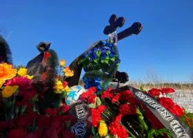 Фотография из галереи