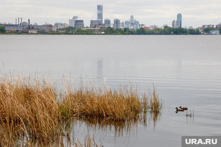 Труп прибило к берегу, где его обнаружили местные жители